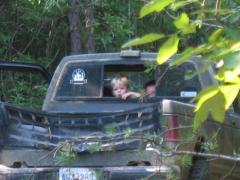 1978 Ford Bronco - A child peers out the back window of a pickup truck, partially obscured by foliage.