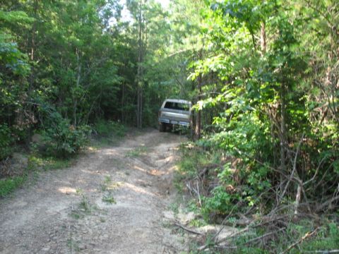1978 Ford Bronco - 1978 Ford Bronco navigating a rough dirt path through a dense forest.