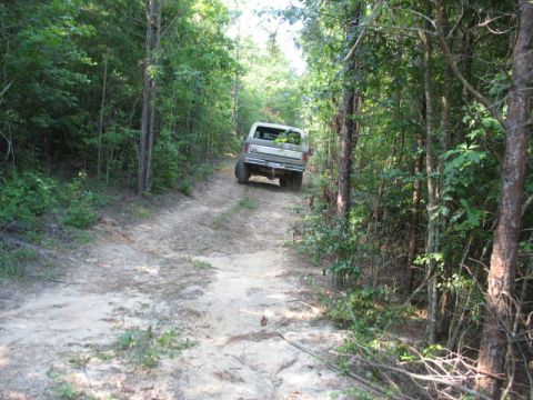 1978 Ford Bronco - A Ford pickup truck navigates a narrow dirt road surrounded by dense trees.
