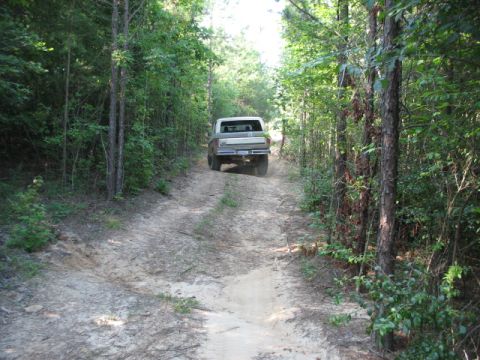 1978 Ford Bronco - A 1978 Ford Bronco navigates a wooded dirt path.