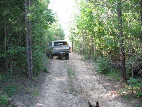 1978 Ford Bronco - A 1978 Ford Bronco navigates a dirt path surrounded by dense trees.