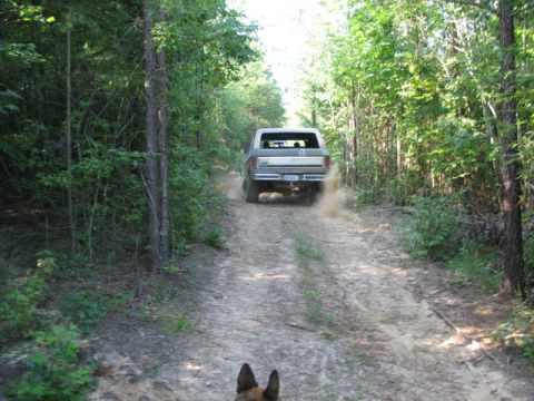 1978 Ford Bronco - 1978 Ford Bronco navigates a dusty, wooded trail.
