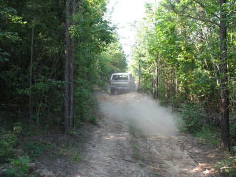 1978 Ford Bronco - A silver pickup truck navigates a dusty trail through a dense forest.