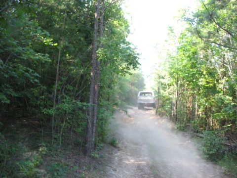 1978 Ford Bronco - A white pickup truck kicks up dust as it drives down a wooded dirt road.