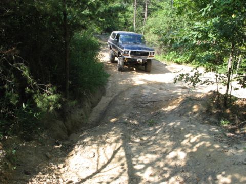 1978 Ford Bronco - A dark blue 1978 Ford Bronco navigates a rutted dirt path surrounded by dense foliage.
