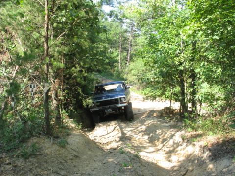 1978 Ford Bronco - A 1978 Ford Bronco tackles a challenging dirt path surrounded by dense trees.