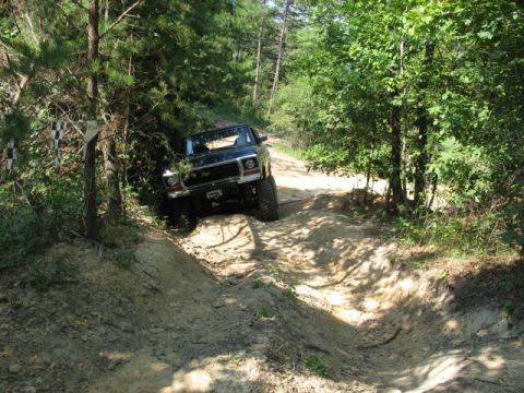 1978 Ford Bronco - This vehicle is navigating a challenging off-road trail surrounded by dense forest.