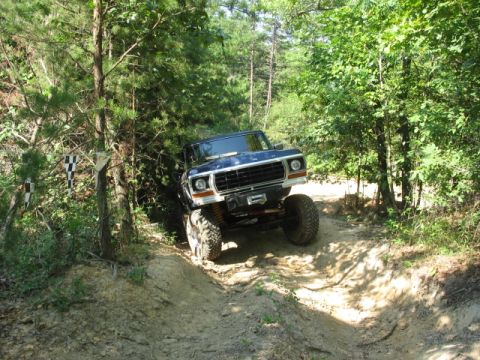 1978 Ford Bronco - This 1978 Ford Bronco tackles a challenging off-road path surrounded by dense foliage.
