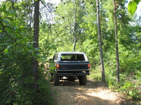 1978 Ford Bronco - 1978 Ford Bronco navigates a wooded trail, showing its rear profile.