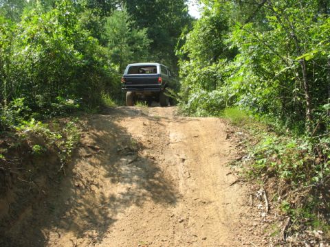 1978 Ford Bronco - A classic 1978 Ford Bronco navigates an off-road trail, climbing a steep, rutted dirt path amidst dense foliage.