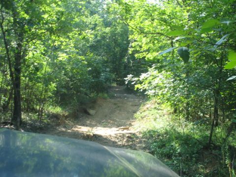 1978 Ford Bronco - A vehicle navigates a rough, unpaved trail surrounded by lush green trees.