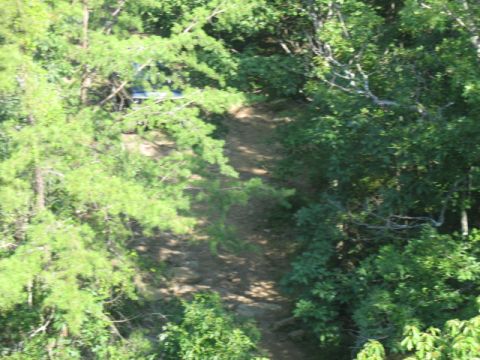 1978 Ford Bronco - A blue SUV is visible on a dirt path surrounded by dense green foliage.
