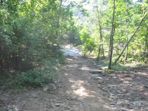 1978 Ford Bronco - A dirt path winds through a wooded area with rocks and trees lining the trail.