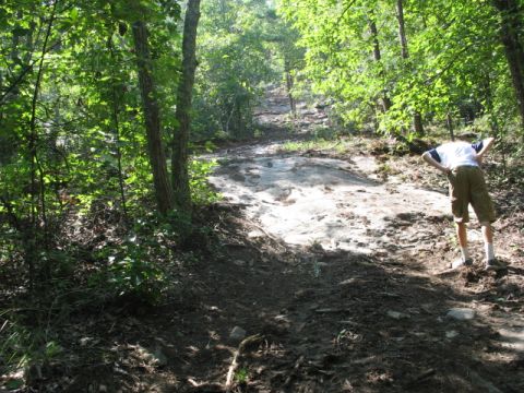 1978 Ford Bronco - A person pauses on a rough, uphill trail surrounded by trees and dappled sunlight.