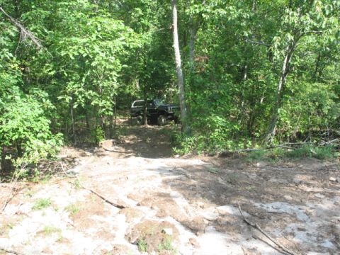 1978 Ford Bronco - Two vehicles are parked off a dirt path in a dense forest, partially obscured by trees and foliage.