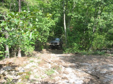 1978 Ford Bronco - 1978 Ford Bronco navigating a wooded trail.