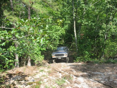 1978 Ford Bronco - A blue Ford Bronco navigates a wooded trail with dense foliage on either side.