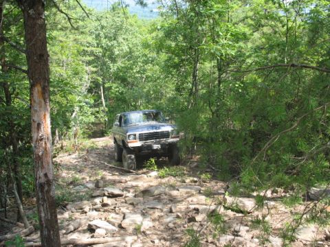1978 Ford Bronco - A blue 1978 Ford Bronco navigates a challenging, rocky path through a dense forest.