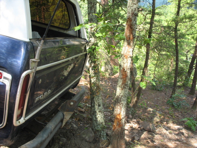 Rear view of a 1978 Ford Bronco parked on a wooded trail, showing the tailgate and bumper