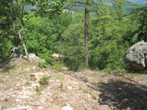 1978 Ford Bronco - A view from a rocky outcrop, looking down into a wooded valley on a sunny day.