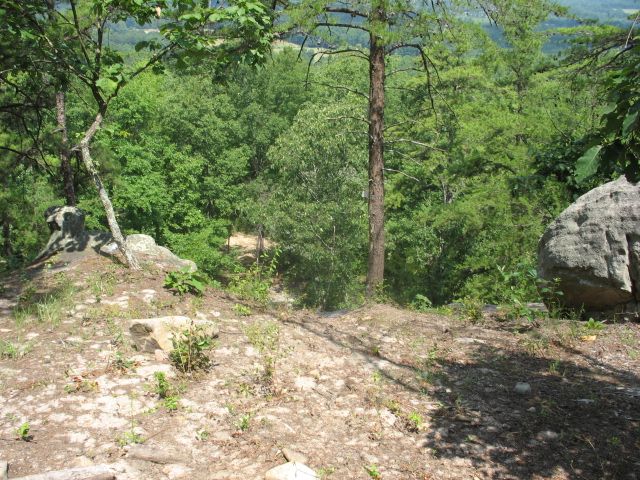 Rocky hillside with trees and vegetation, overlooking a distant valley