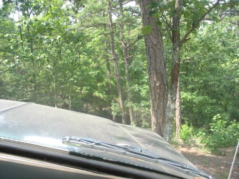 1978 Ford Bronco - View from inside a vehicle looking out over the hood and windshield wipers towards a wooded area.