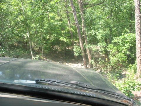 1978 Ford Bronco - View from inside a vehicle driving through a wooded area.