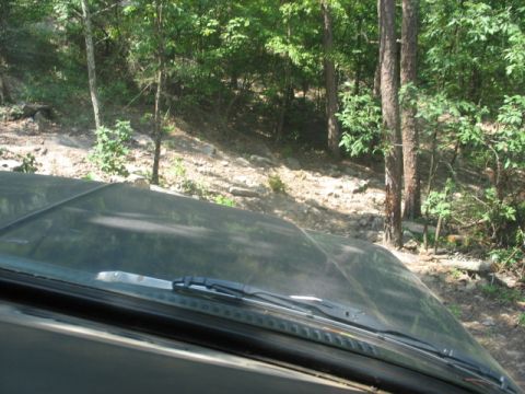1978 Ford Bronco - Driving through a wooded area with rocks and trees visible on the side of the path.