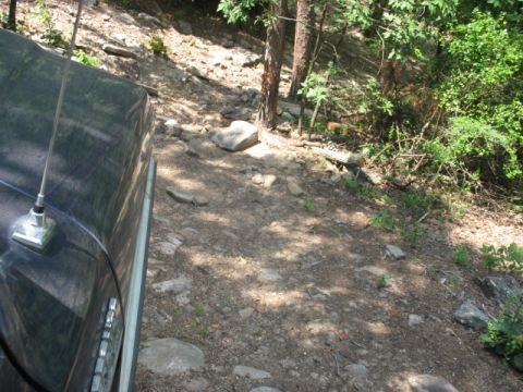1978 Ford Bronco - A dark SUV navigates a rough, rocky path through a wooded area.