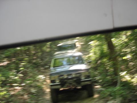 1978 Ford Bronco - Two SUVs navigate a wooded trail, captured in motion with blurred surroundings.