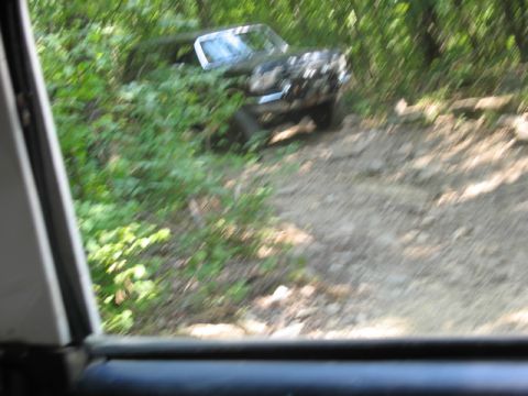 1978 Ford Bronco - A vehicle navigates a rough, wooded trail, with dense foliage surrounding the path.