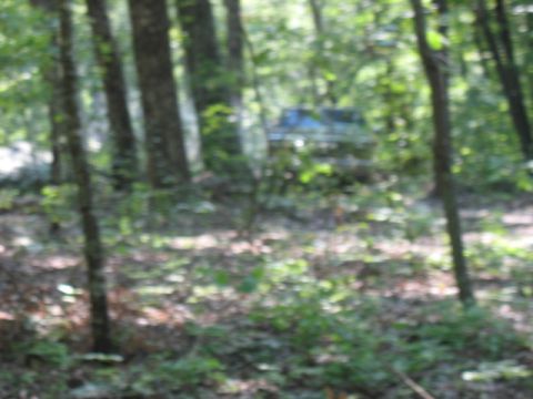 1978 Ford Bronco - A partially obscured blue SUV is visible amongst trees in a forest clearing.