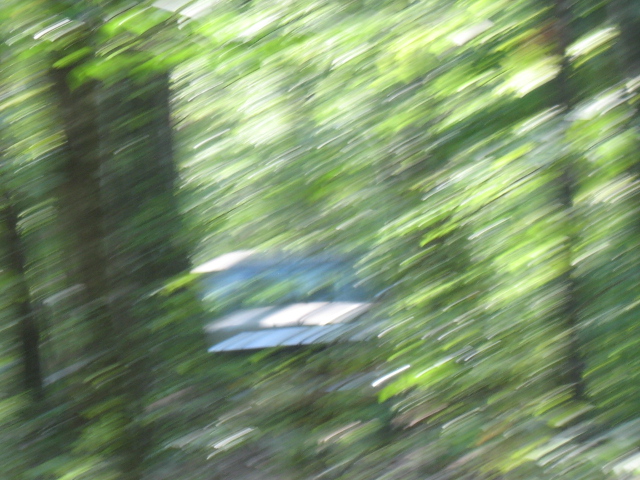 Blurry vehicle partially visible through trees