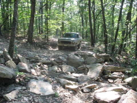 1978 Ford Bronco - Ford Bronco tackles a challenging rocky trail through a dense forest.