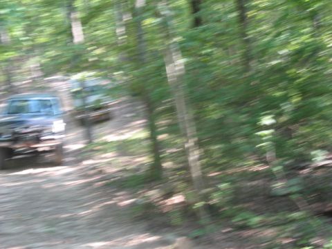 1978 Ford Bronco - Two vehicles navigate a dirt road surrounded by trees, with motion blur indicating movement.