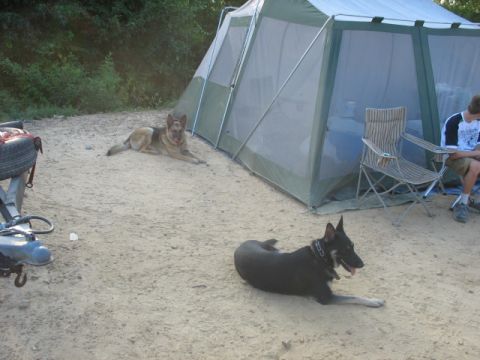 1978 Ford Bronco - Campsite scene with two dogs relaxing near a tent and a person sitting in a chair.