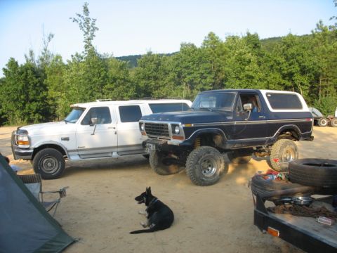 1978 Ford Bronco - Two lifted trucks, a dark blue Bronco and a white pickup, sit parked outdoors with a trailer nearby.