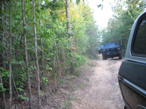 1978 Ford Bronco - Two SUVs navigate a wooded dirt road, one in the foreground and another ahead.