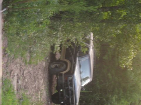 1978 Ford Bronco - An off-road vehicle equipped with a snorkel is parked on a dirt path surrounded by dense foliage.