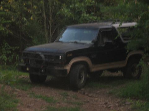 1978 Ford Bronco - 1978 Ford Bronco with tan trim parked off-road.