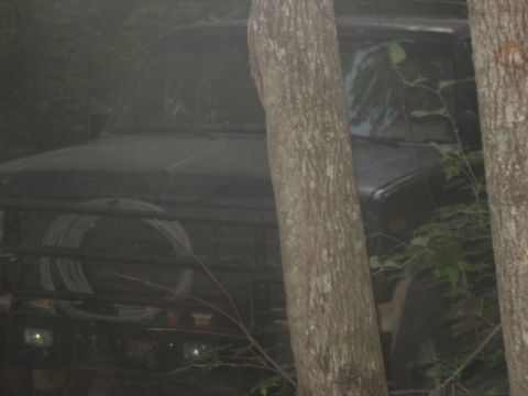1978 Ford Bronco - A dark-colored SUV, possibly a Bronco, is seen parked amongst trees with a spare tire on its front grille guard.