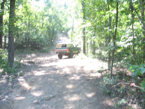 1978 Ford Bronco - A 1978 Ford Bronco navigates a wooded trail on a sunny day.