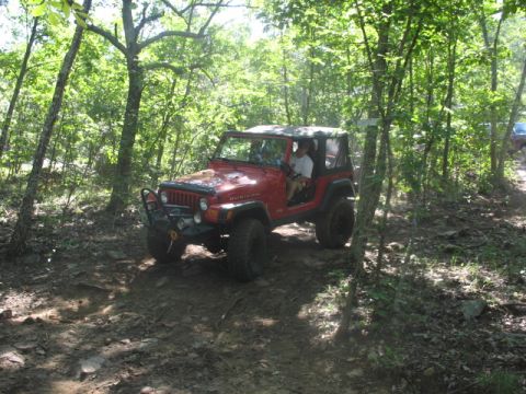 1978 Ford Bronco - A red Jeep Wrangler navigates a wooded off-road trail with another vehicle visible in the distance.