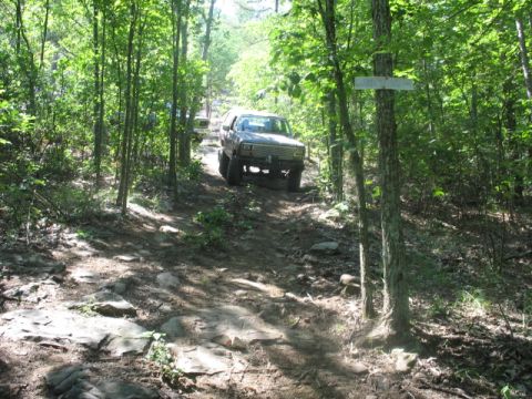 1978 Ford Bronco - A gray SUV navigates a challenging, rocky path through a dense forest, with another vehicle following.