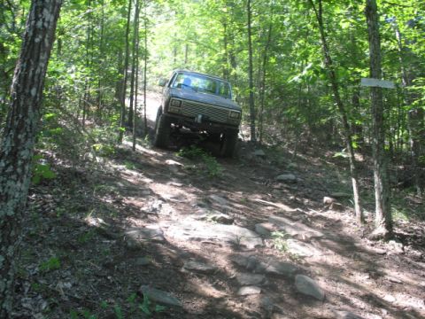 1978 Ford Bronco - 1978 Ford Bronco navigating a challenging off-road path through dense woods.