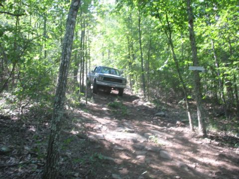1978 Ford Bronco - A truck navigates a challenging off-road path through a dense forest.