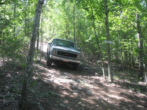 1978 Ford Bronco - GMC pickup truck navigates a challenging off-road trail through a dense forest.