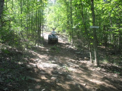 1978 Ford Bronco - An all-terrain vehicle navigates a rocky, wooded path.
