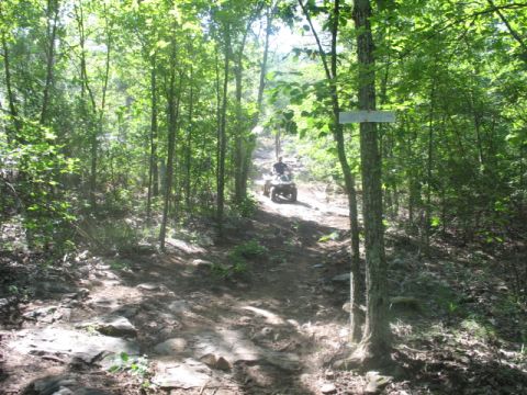 1978 Ford Bronco - An ATV navigates a challenging, rocky path through a dense forest.