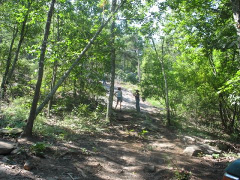 1978 Ford Bronco - Two people are on a wooded trail with rocks and trees.